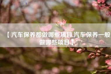【汽车保养都做哪些项目,汽车保养一般做哪些项目】