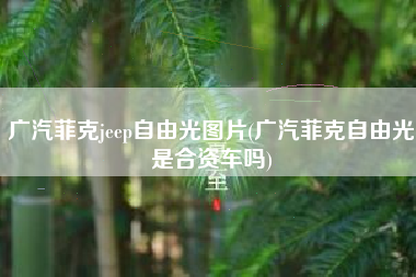 广汽菲克jeep自由光图片(广汽菲克自由光是合资车吗) 广汽菲克jeep自由光图片(广汽菲克自由光是合资车吗)