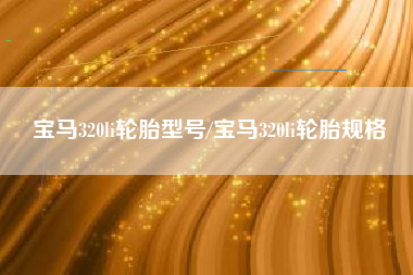 宝马320li轮胎型号/宝马320li轮胎规格 宝马320li轮胎型号/宝马320li轮胎规格