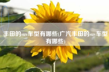 丰田的suv车型有哪些(广汽丰田的suv车型有哪些)