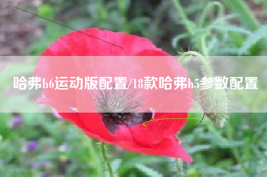 哈弗h6运动版配置/18款哈弗h5参数配置 哈弗h6运动版配置/18款哈弗h5参数配置
