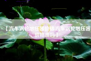【汽车涡轮增压器价格,汽车涡轮增压器价格贵吗】