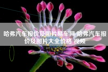 哈弗汽车报价及图片易车网/哈弗汽车报价及图片大全价格 视频
