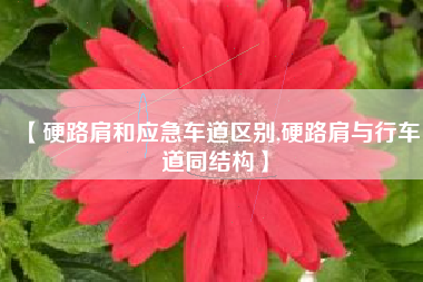 【硬路肩和应急车道区别,硬路肩与行车道同结构】