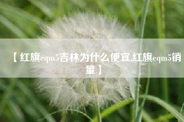 【红旗eqm5吉林为什么便宜,红旗eqm5销量】