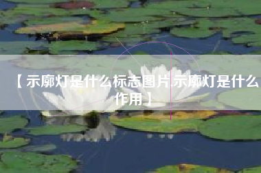 【示廓灯是什么标志图片,示廓灯是什么作用】