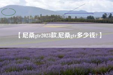 【尼桑gtr2023款,尼桑gtr多少钱?】