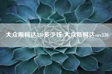 大众斯柯达330多少钱/大众斯柯达suv330 大众斯柯达330多少钱/大众斯柯达suv330