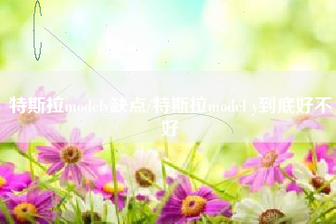 特斯拉modely缺点/特斯拉model y到底好不好