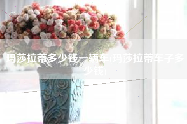 玛莎拉蒂多少钱一辆车(玛莎拉蒂车子多少钱)