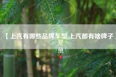 【上汽有哪些品牌车型,上汽都有啥牌子】