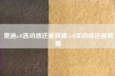 奥迪a4l选动感还是致雅/a4l买动感还是致雅