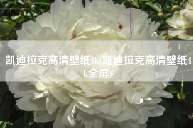 凯迪拉克高清壁纸4k(凯迪拉克高清壁纸4k全屏)