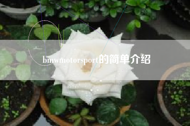 bmwmotorsport的简单介绍