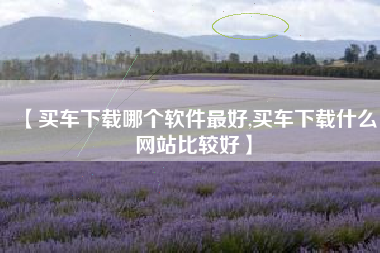 【买车下载哪个软件最好,买车下载什么网站比较好】