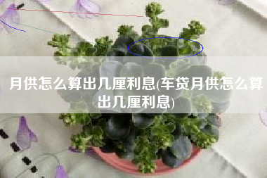 月供怎么算出几厘利息(车贷月供怎么算出几厘利息)