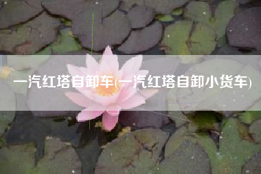 一汽红塔自卸车(一汽红塔自卸小货车)