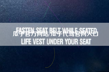 瓜子官方网站/瓜子代驾官网入口