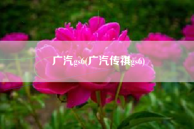 广汽gs6(广汽传祺gs6)