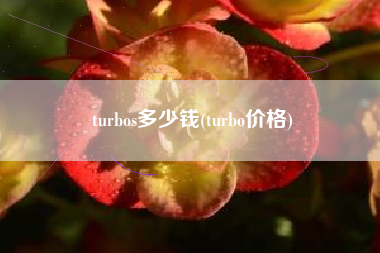 turbos多少钱(turbo价格)
