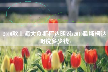 2010款上海大众斯柯达明锐(2010款斯柯达明锐多少钱) 2010款上海大众斯柯达明锐(2010款斯柯达明锐多少钱)