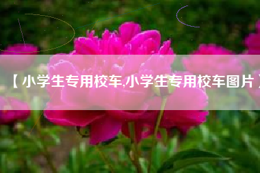 【小学生专用校车,小学生专用校车图片】