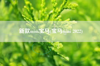 新款mini宝马(宝马mini 2022) 新款mini宝马(宝马mini 2022)