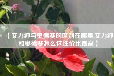 【艾力绅与奥德赛的区别在哪里,艾力绅和奥德赛怎么选性价比最高】