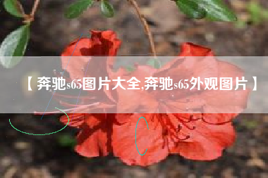 【奔驰s65图片大全,奔驰s65外观图片】 【奔驰s65图片大全,奔驰s65外观图片】