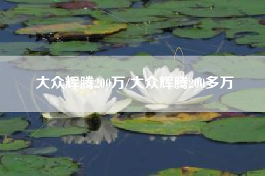 大众辉腾200万/大众辉腾200多万