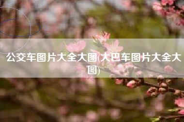 公交车图片大全大图(大巴车图片大全大图) 公交车图片大全大图(大巴车图片大全大图)