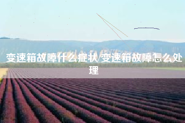 变速箱故障什么症状/变速箱故障怎么处理 变速箱故障什么症状/变速箱故障怎么处理