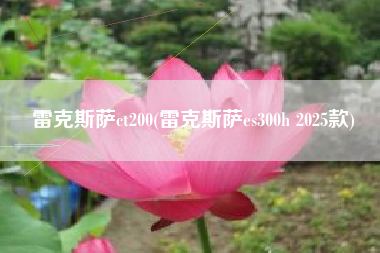 雷克斯萨ct200(雷克斯萨es300h 2025款) 雷克斯萨ct200(雷克斯萨es300h 2025款)