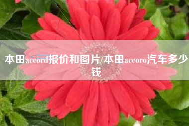 本田accord报价和图片/本田accoro汽车多少钱 本田accord报价和图片/本田accoro汽车多少钱