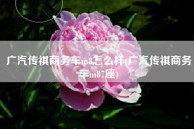 广汽传祺商务车m8怎么样(广汽传祺商务车m87座)