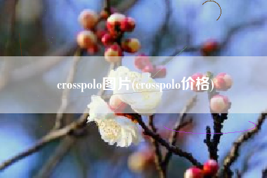 crosspolo图片(crosspolo价格) crosspolo图片(crosspolo价格)