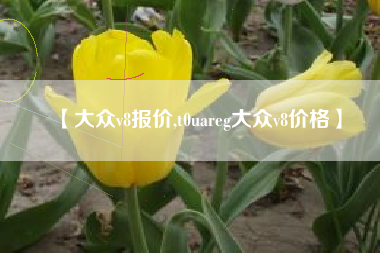 【大众v8报价,t0uareg大众v8价格】 【大众v8报价,t0uareg大众v8价格】