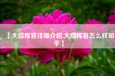 【大指挥官详细介绍,大指挥官怎么样知乎】 【大指挥官详细介绍,大指挥官怎么样知乎】