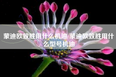 蒙迪欧致胜用什么机油/蒙迪欧致胜用什么型号机油