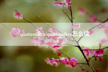 quattroultra/quattroultra怎么读