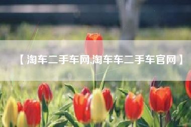 【淘车二手车网,淘车车二手车官网】