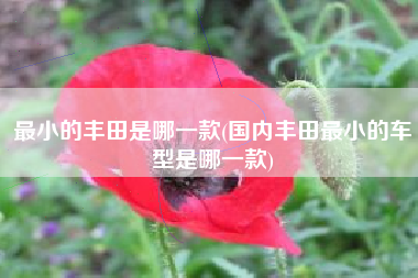 最小的丰田是哪一款(国内丰田最小的车型是哪一款)