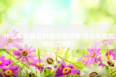 什么车保险公司最好最可靠(什么车险的保险公司好)