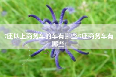 7座以上商务车的车有哪些/7座商务车有哪些?