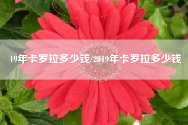 19年卡罗拉多少钱/2019年卡罗拉多少钱