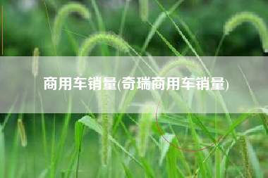 商用车销量(奇瑞商用车销量)