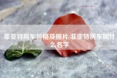 菲亚特房车价格及图片/菲亚特房车叫什么名字