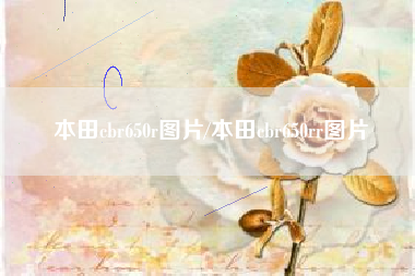本田cbr650r图片/本田cbr650rr图片