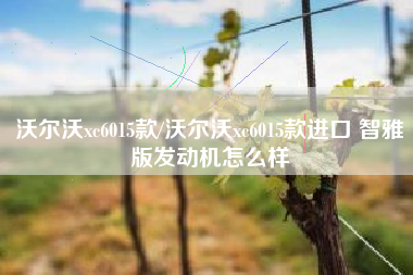 沃尔沃xc6015款/沃尔沃xc6015款进口 智雅版发动机怎么样