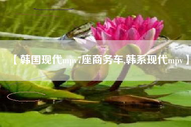 【韩国现代mpv7座商务车,韩系现代mpv】